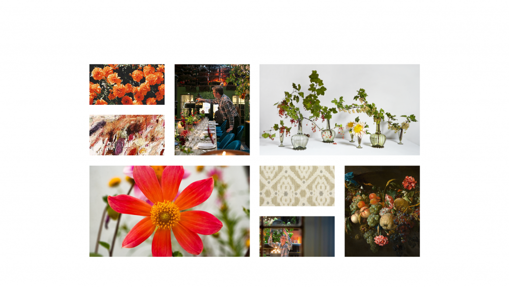 homepage-3-shane-connolly