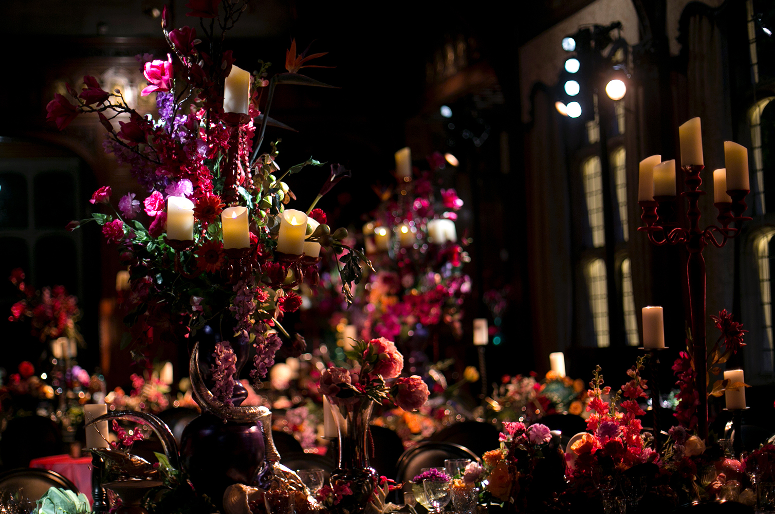 A Still Life Fantasy